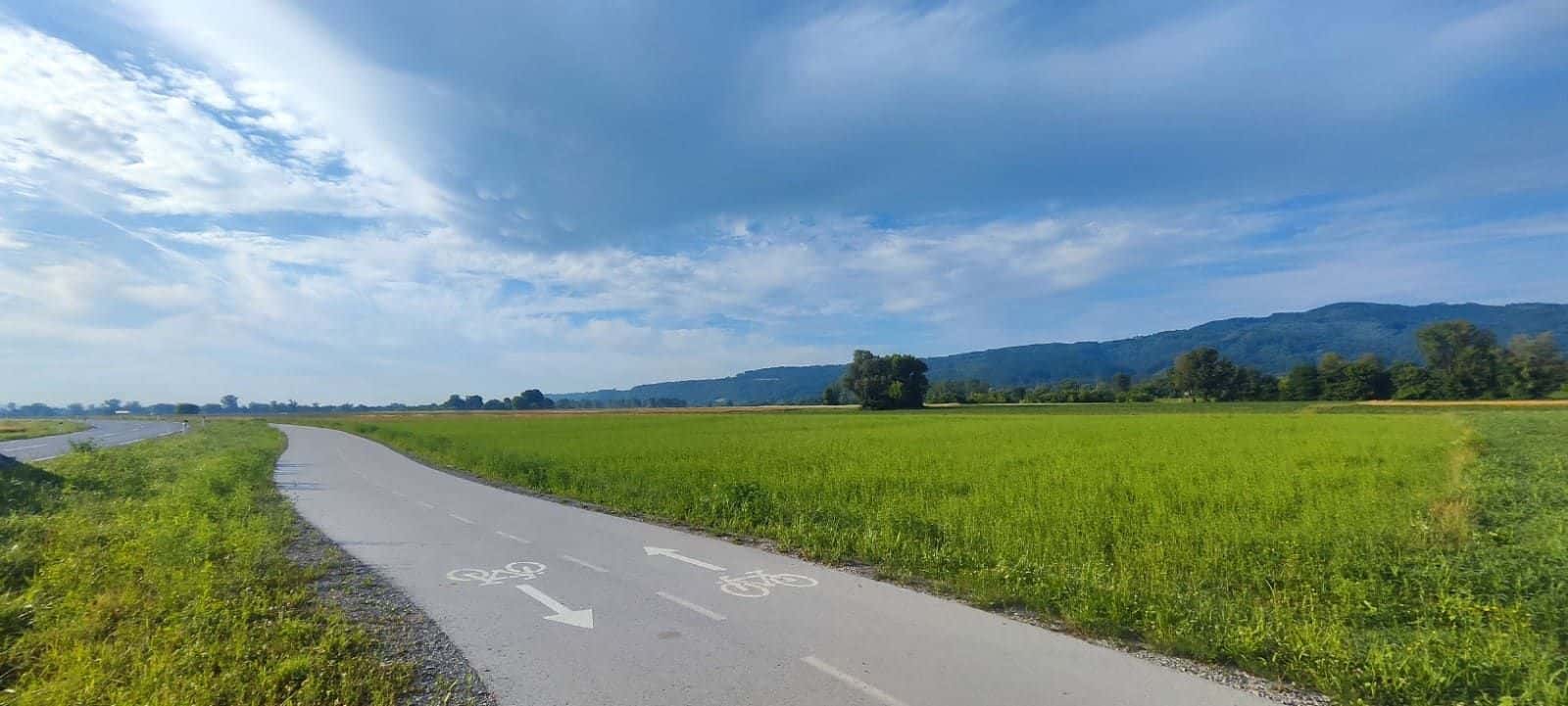 Kolesarska pot skozi zelena polja Posavja