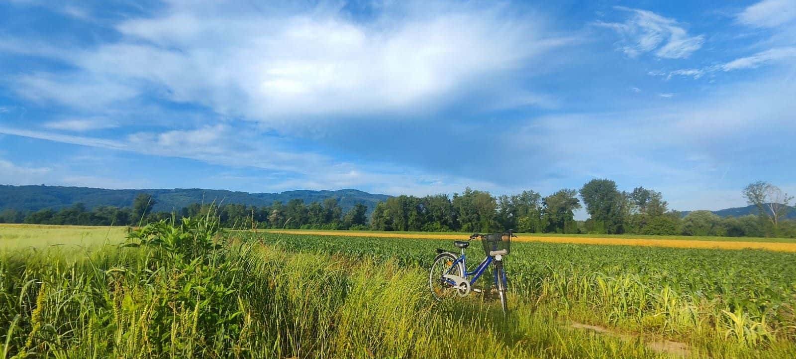 Kolo na travniku z razgledom na griče