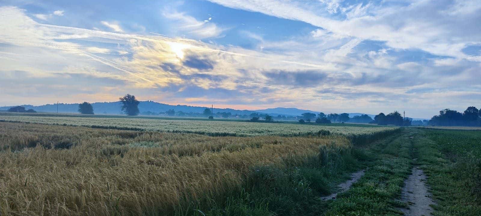 Sončni vzhod nad polji ob Mihalovcu